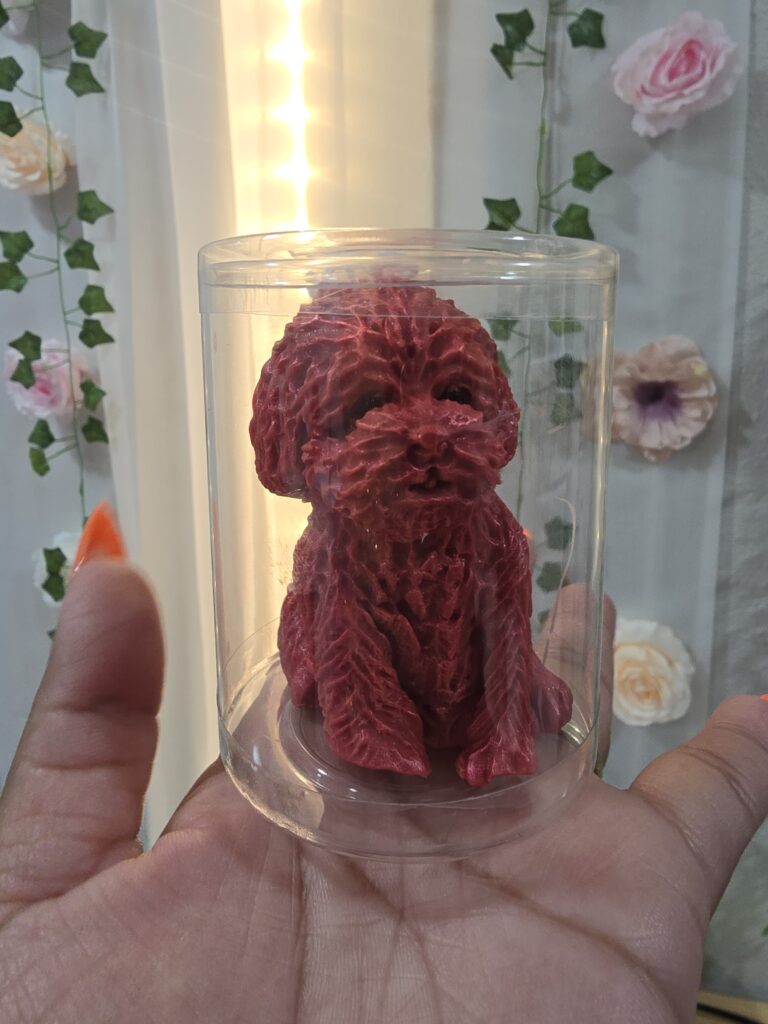 whatsapp image 2026 04 05 at 15.57.17