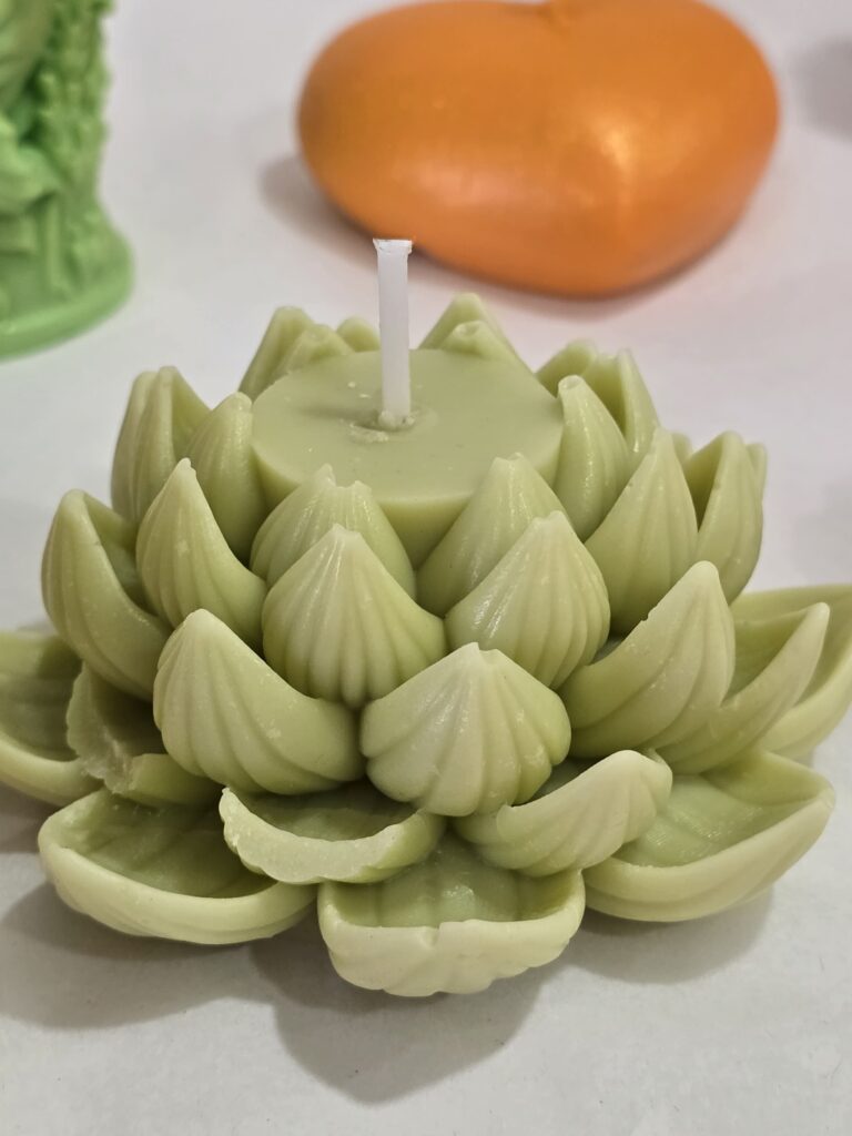 whatsapp image 2026 04 05 at 15.57.44 (1)